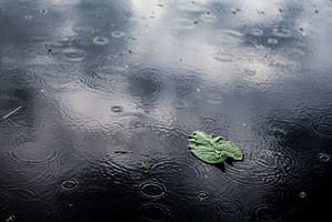 A single green leaf floats on dark water as raindrops create circular ripples across the surface; the sky is reflected in the water.